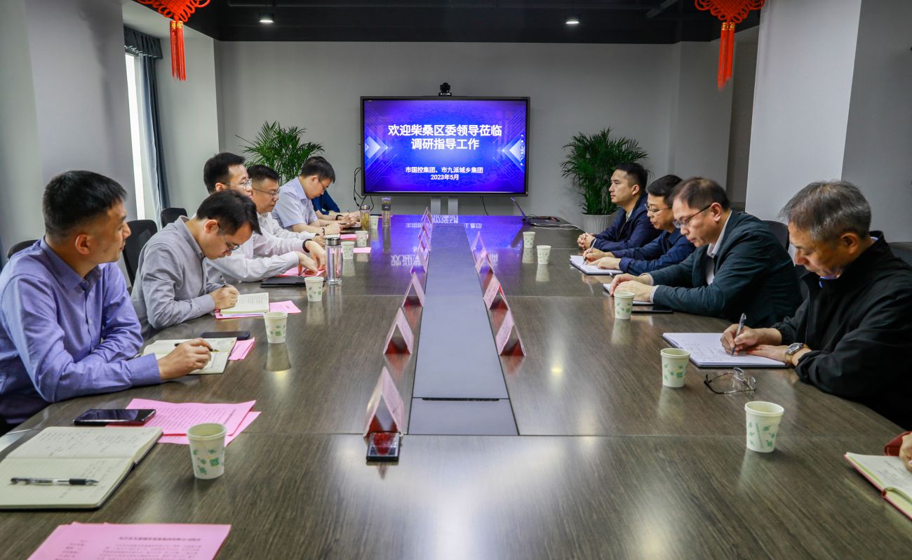 柴桑區委書記盛煒一行來訪市國控集團、市九派城鄉發展集團